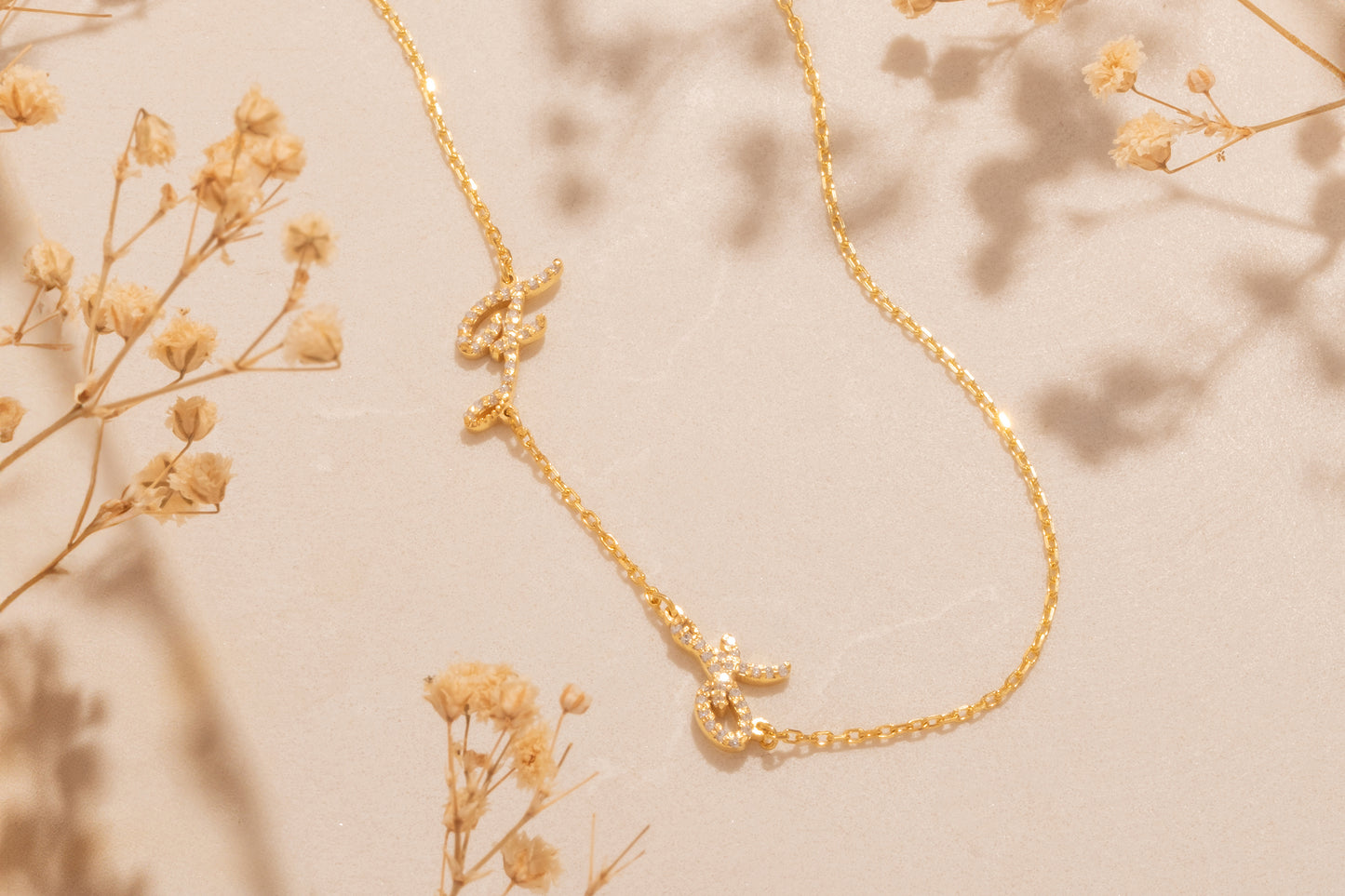 İki Harfli Taşlı Köprücük Kolye | 14 Ayar Altın